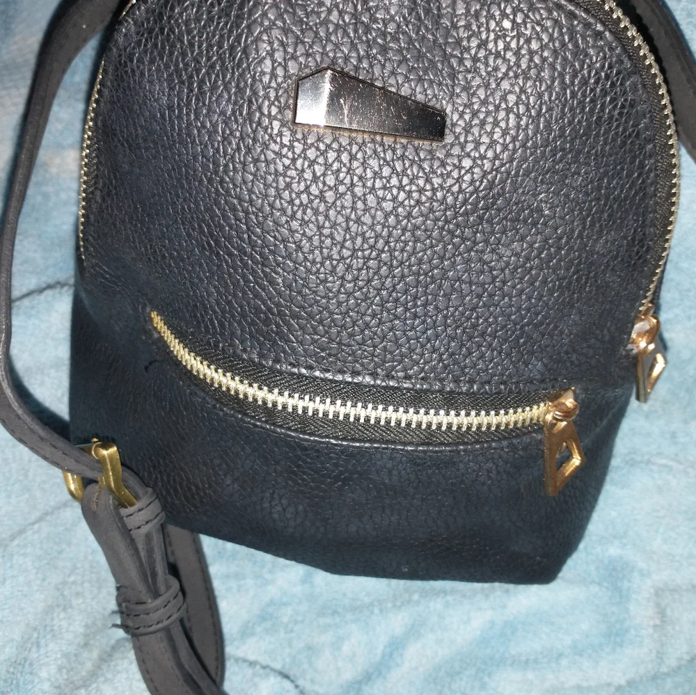 Small Backpack Embroiderd Rose's - Picture 2 of 5